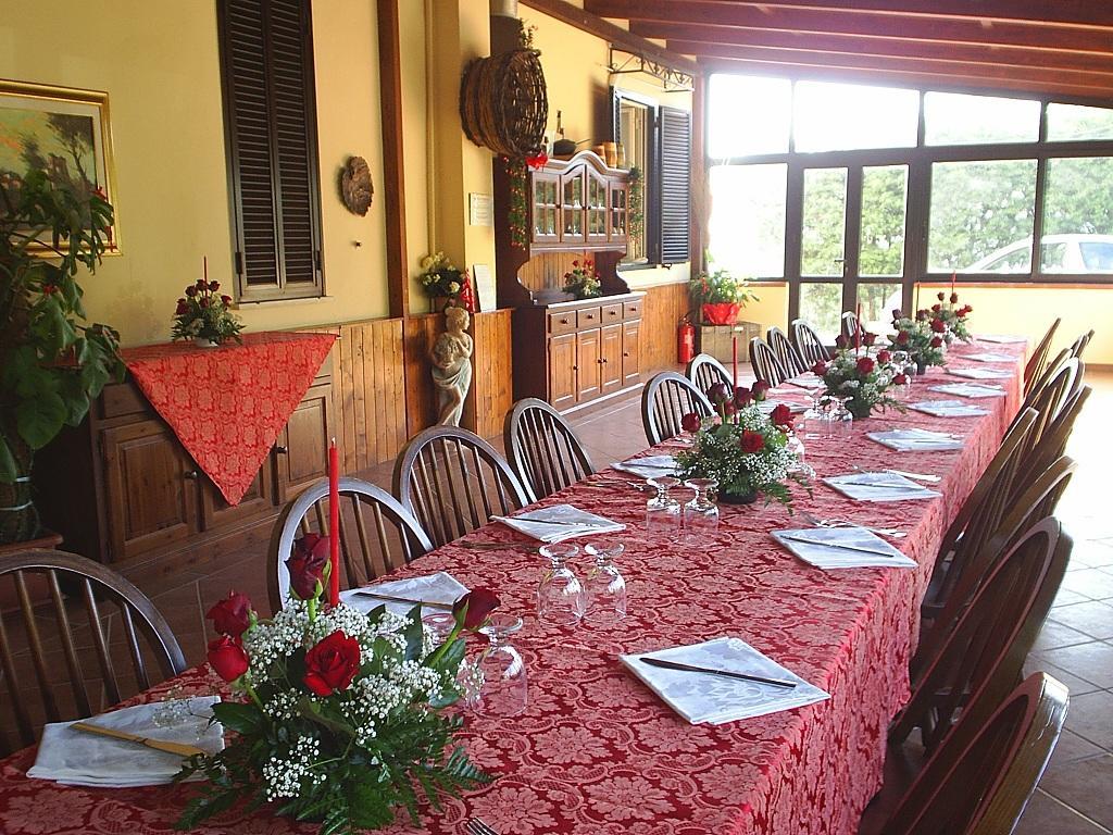 Agriturismo Aurella Ascea Exteriér fotografie